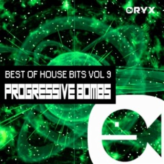 Best of House Music Bits Vol 9 - Progressive Bombs
