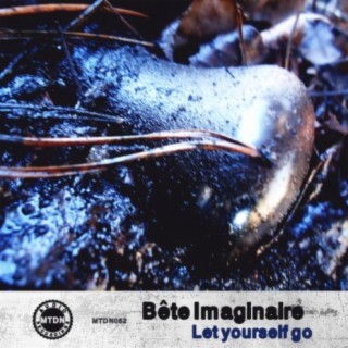 Bкte Imaginaire