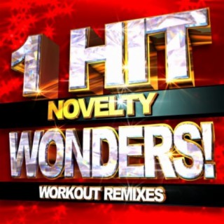 Novelty 1 Hit Wonders! Workout Remixes