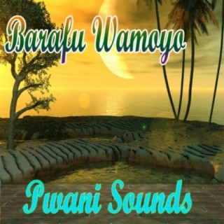 Pwani Sounds