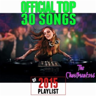 Official Top 30 Songs Of 2015 Playlist