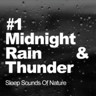 #1 Midnight Rain & Thunder