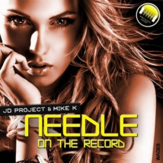 Needle On The Record