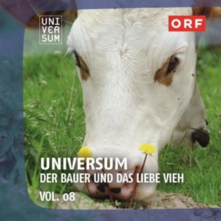 ORF Universum Vol.8