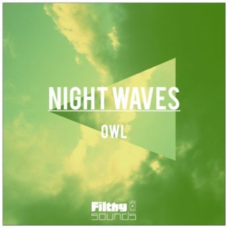 Night Waves