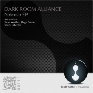Dark Room Alliance