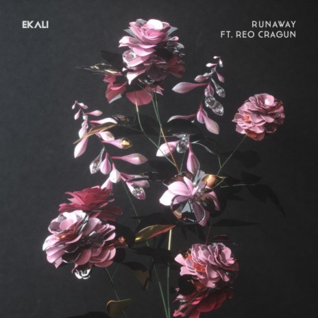 Runaway (feat. Reo Cragun) | Boomplay Music