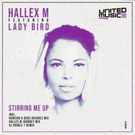 Stirring Me Up (Hallex M Journey Reprise) ft. Ladybird | Boomplay Music