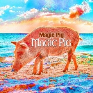 Magic Pig