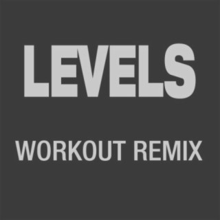 Levels (Workout Remix)