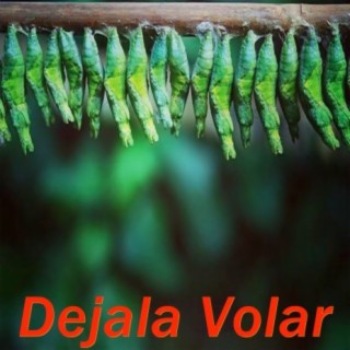 Dejala Volar(Instrumental)