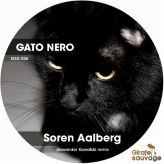 Gato Nero