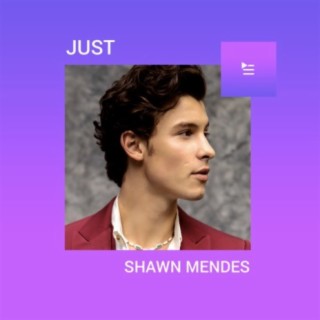 Just Shawn Mendes