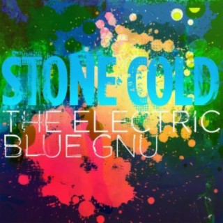 The Electric Blue Gnu - Live