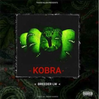 Kobra