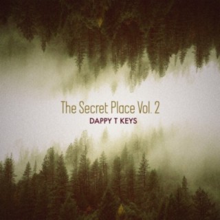 The Secret Place, Vol. 2