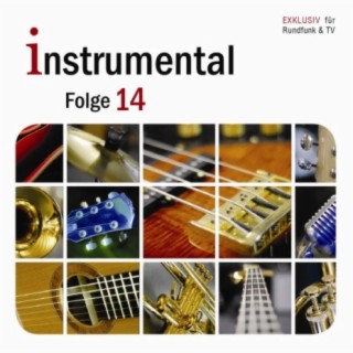 Instrumental - Folge 14