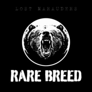 Lost Marauders