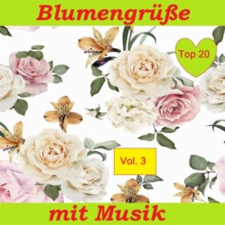 Top 20: Blumengrüße mit Musik, Vol. 3