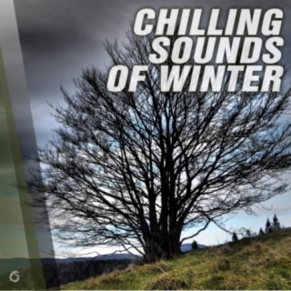 Chilling Sounds of Winter