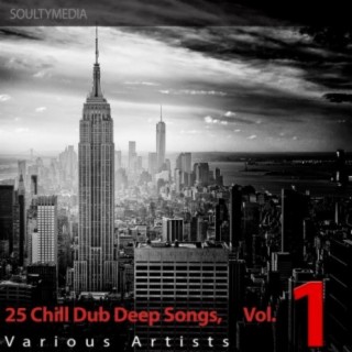 25 Chill Dub Deep Songs, Vol. 1