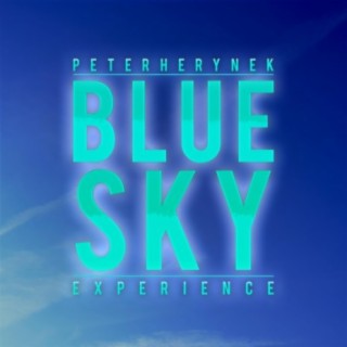 Peter Herynek Experience