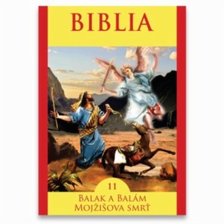 Biblia 11 / Bible 11