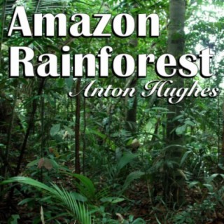 Amazon Rainforest