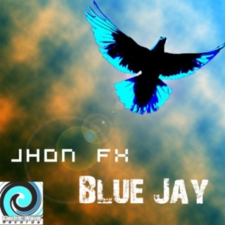 Blue Jay