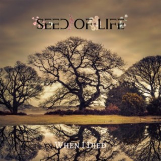 Seed Of Life