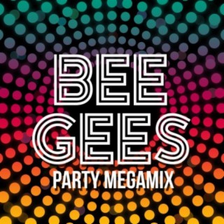 Bee Gees Party Megamix