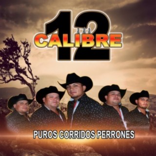 Calibre 12