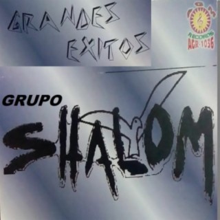 Grupo Shalom