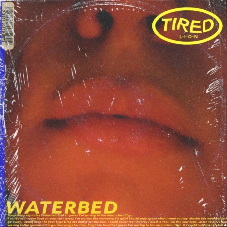 Waterbed | Boomplay Music