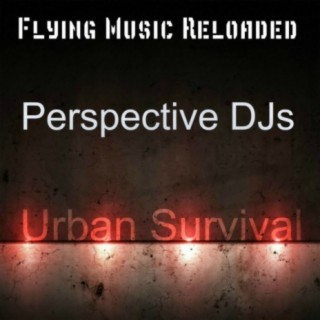 Perspective DJs