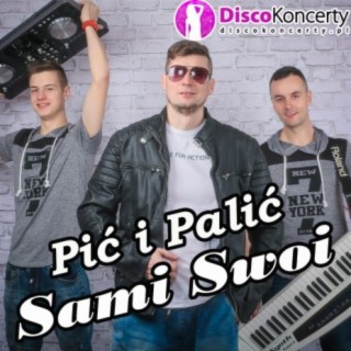 Pić i palić (Radio Edit)