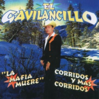 El Gavilancillo