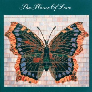 House Of Love