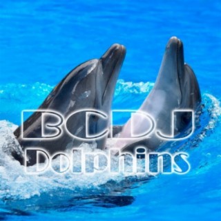 Dolphins