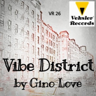 Vibe District