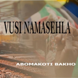 Vusi Namasehla