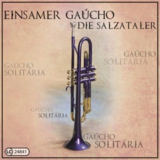 Einsamer Gaucho