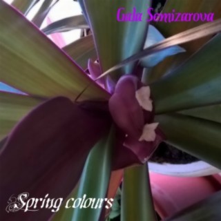 Spring Colours