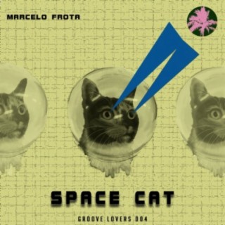 Space Cat