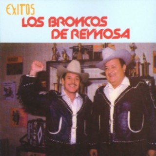 Los Broncos De Reynosa