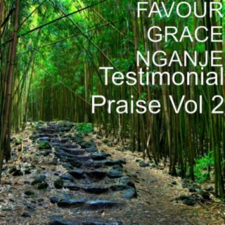 Testimonial Praise Vol 2