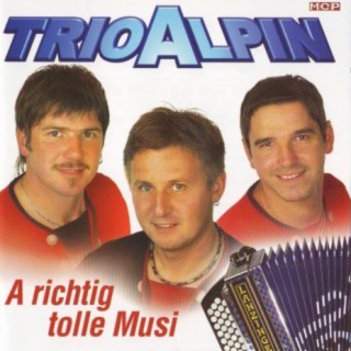 Trio Alpin - A richtig tolle Musi