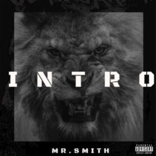 Mr Smith