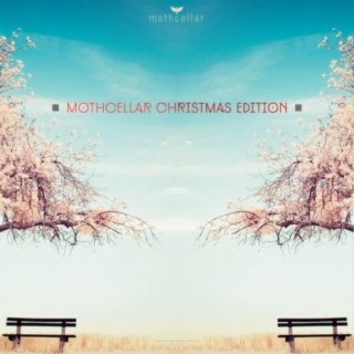 Mothcellar Christmas Edition