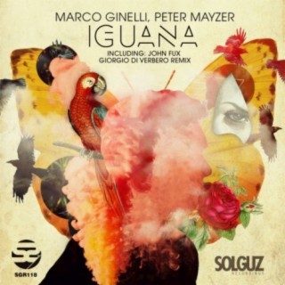 Marco Ginelli, Peter Mayzer